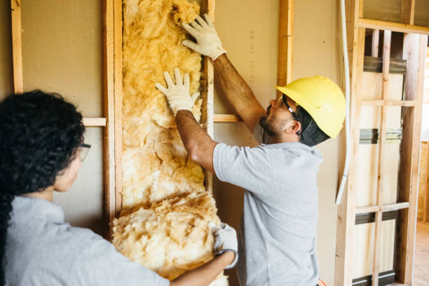 Best Wall Insulation Installation  in Springville, AL