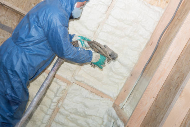 Best Attic Insulation Installation  in Springville, AL